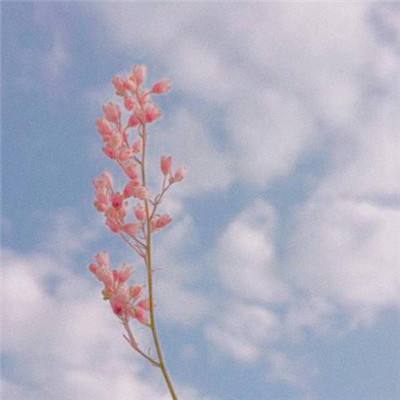 魔力弹神内购破解版下载