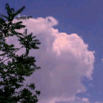 迷你西游最新版本下载